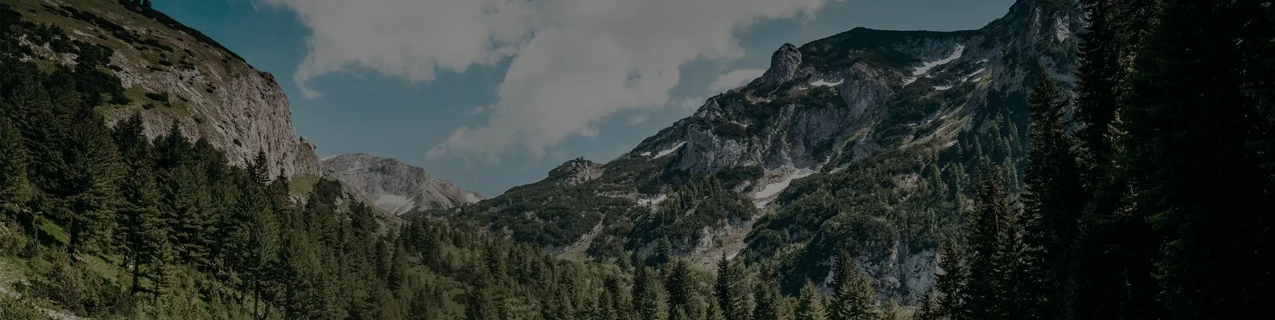 Military range pozadí novinky