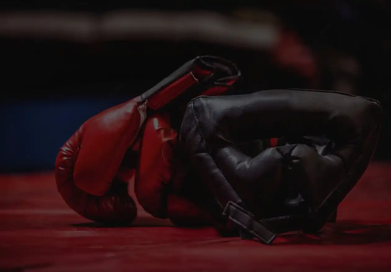 Fénix – rychlé spuštění e-shopu